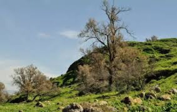  | موسوعة القرى الفلسطينية