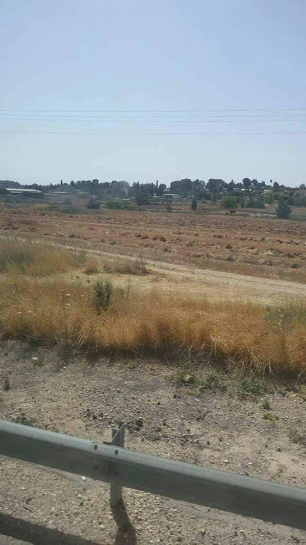 دير نخاس / الخليل