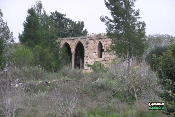 | موسوعة القرى الفلسطينية  | موسوعة القرى الفلسطينية