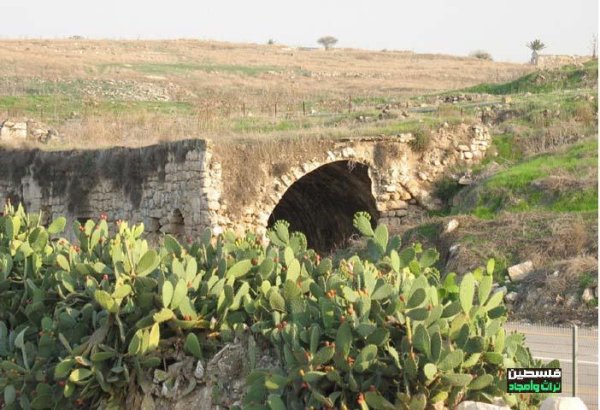 | موسوعة القرى الفلسطينية  | موسوعة القرى الفلسطينية