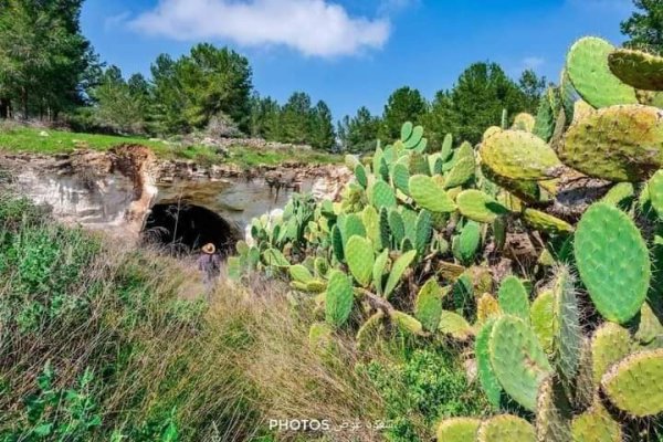 | موسوعة القرى الفلسطينية  | موسوعة القرى الفلسطينية