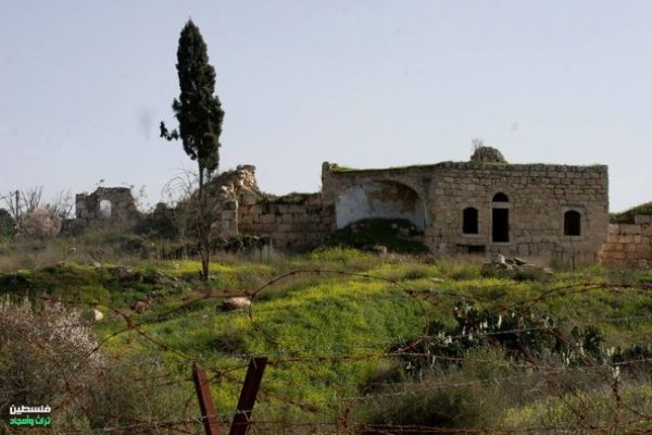 | موسوعة القرى الفلسطينية  | موسوعة القرى الفلسطينية