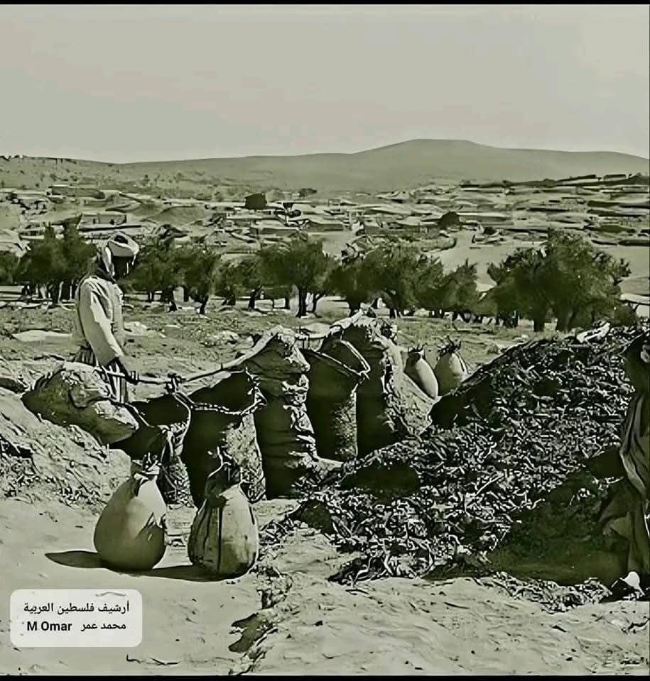 | موسوعة القرى الفلسطينية  | موسوعة القرى الفلسطينية