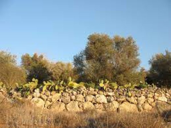 القبيبة / قبيبة بني عواد/ الخليل