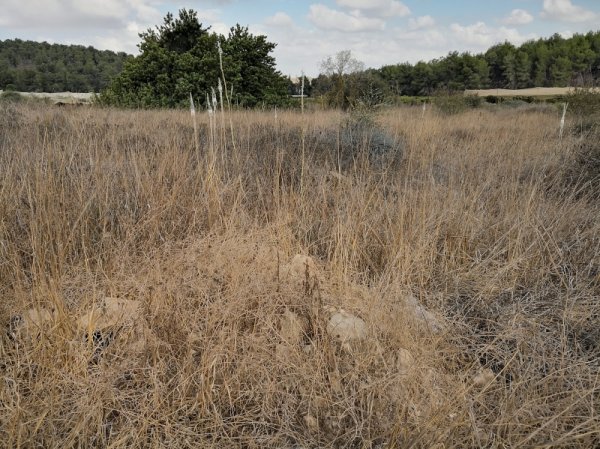 القبيبة / قبيبة بني عواد/ الخليل