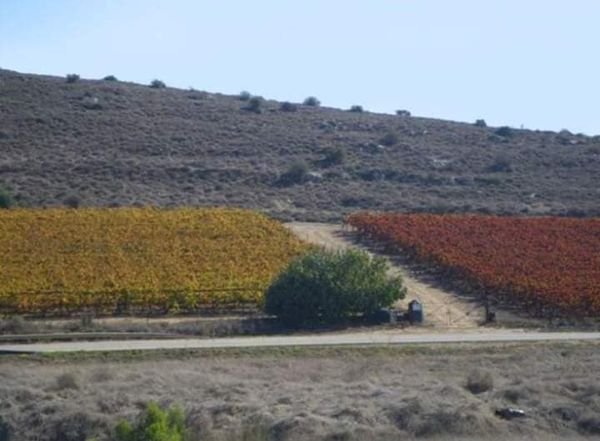 القبيبة / قبيبة بني عواد/ الخليل