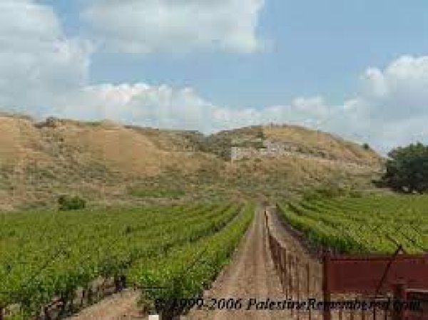 القبيبة / قبيبة بني عواد/ الخليل