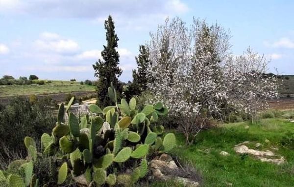 القبيبة / قبيبة بني عواد/ الخليل