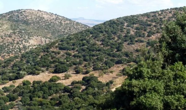  | موسوعة القرى الفلسطينية