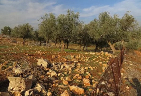  | موسوعة القرى الفلسطينية