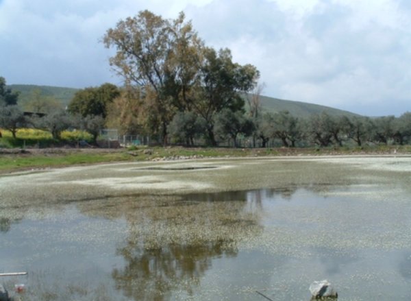  | موسوعة القرى الفلسطينية