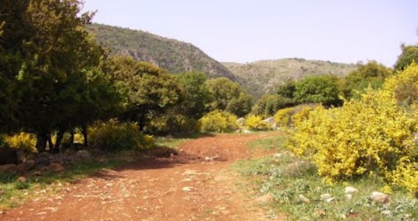  | موسوعة القرى الفلسطينية