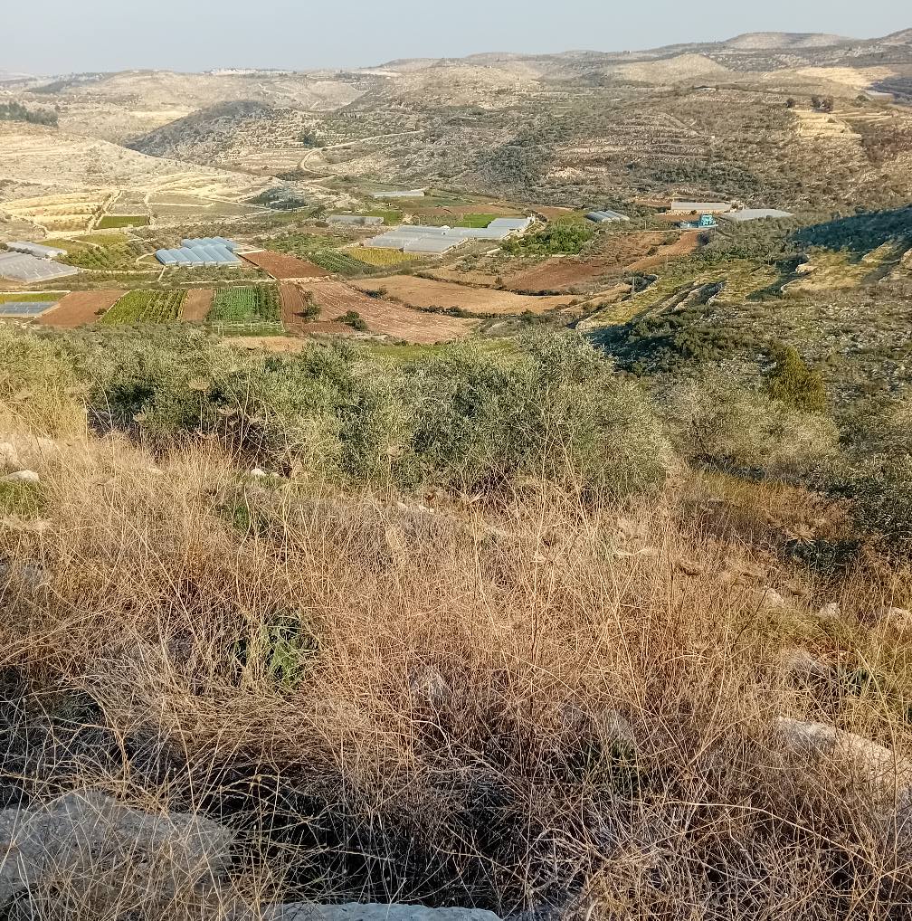 | موسوعة القرى الفلسطينية  | موسوعة القرى الفلسطينية