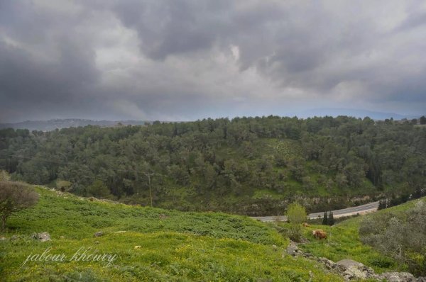  | موسوعة القرى الفلسطينية