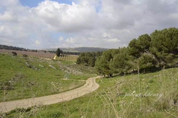  | موسوعة القرى الفلسطينية