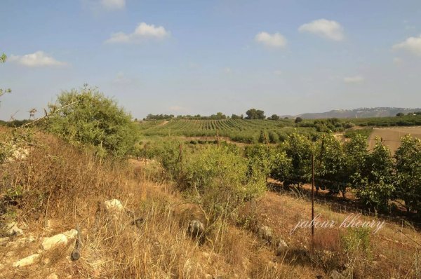  | موسوعة القرى الفلسطينية