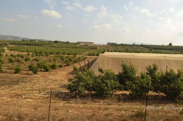  | موسوعة القرى الفلسطينية