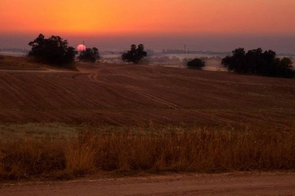  | موسوعة القرى الفلسطينية