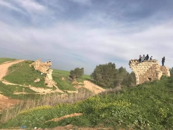 | موسوعة القرى الفلسطينية  | موسوعة القرى الفلسطينية