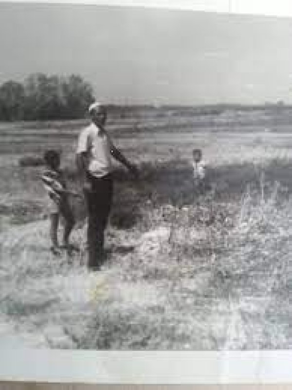قرية الجية قرية الجية