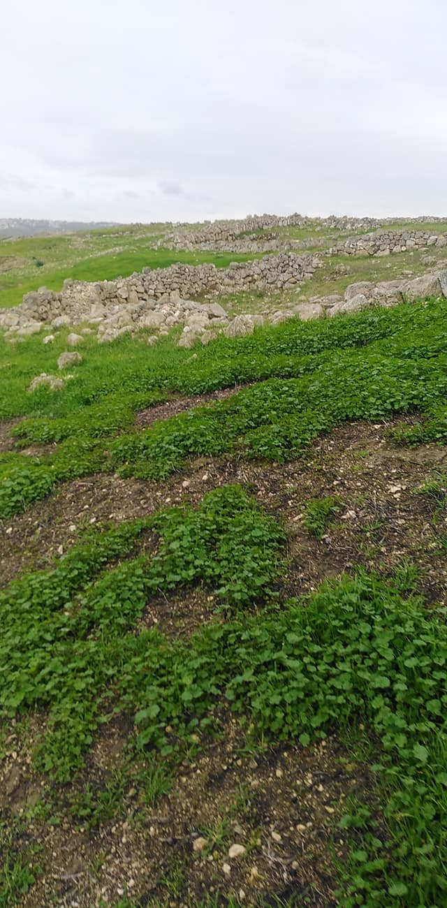 خربة مران المهجرة - دورا / الخليل