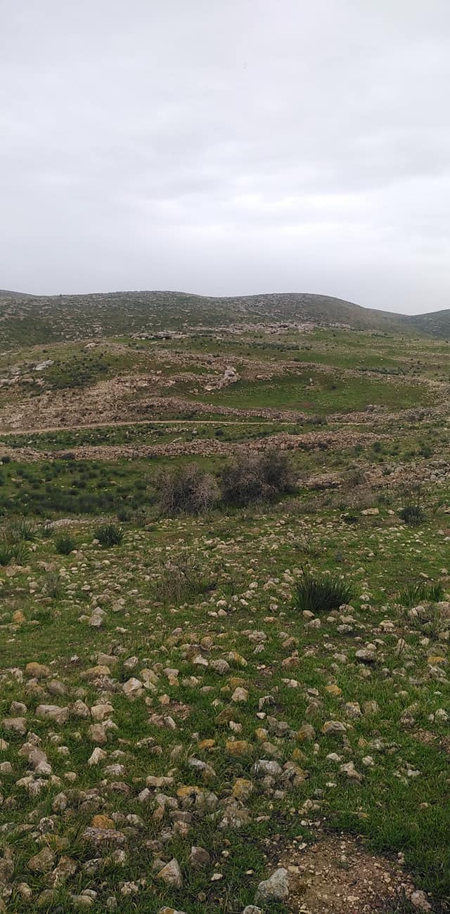 خربة مران المهجرة - دورا / الخليل