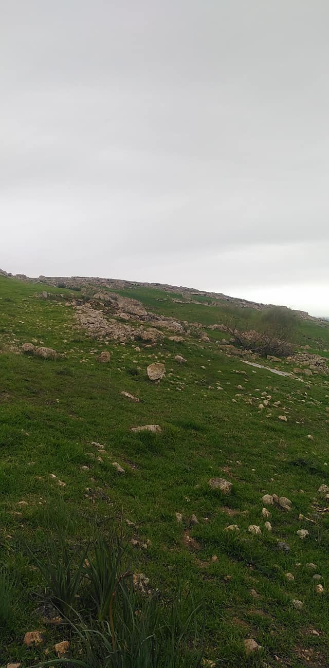 خربة مران المهجرة - دورا / الخليل