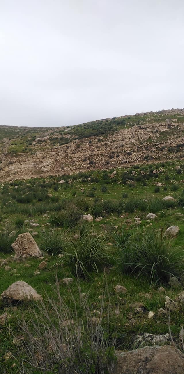 خربة مران المهجرة - دورا / الخليل