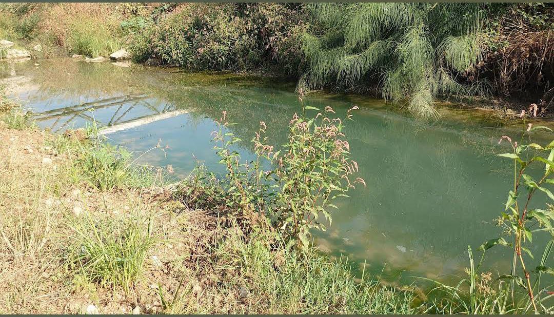 | موسوعة القرى الفلسطينية  | موسوعة القرى الفلسطينية