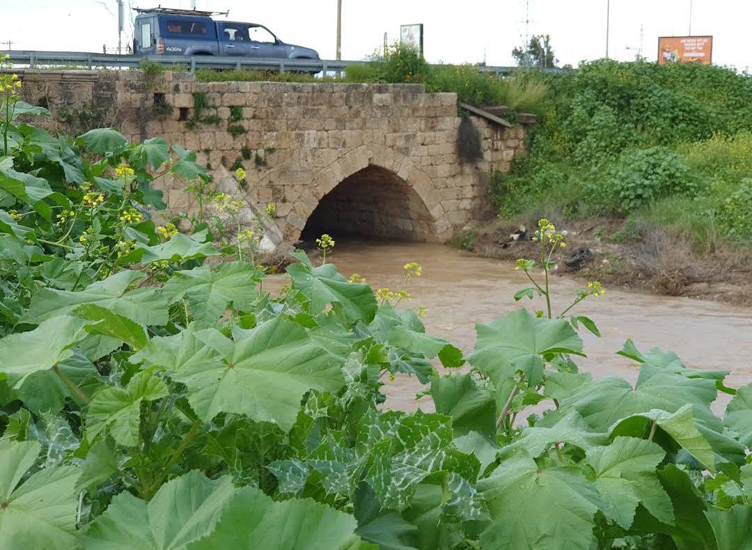 | موسوعة القرى الفلسطينية  | موسوعة القرى الفلسطينية