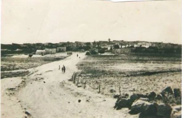 مجزرة قرية أبو شوشة