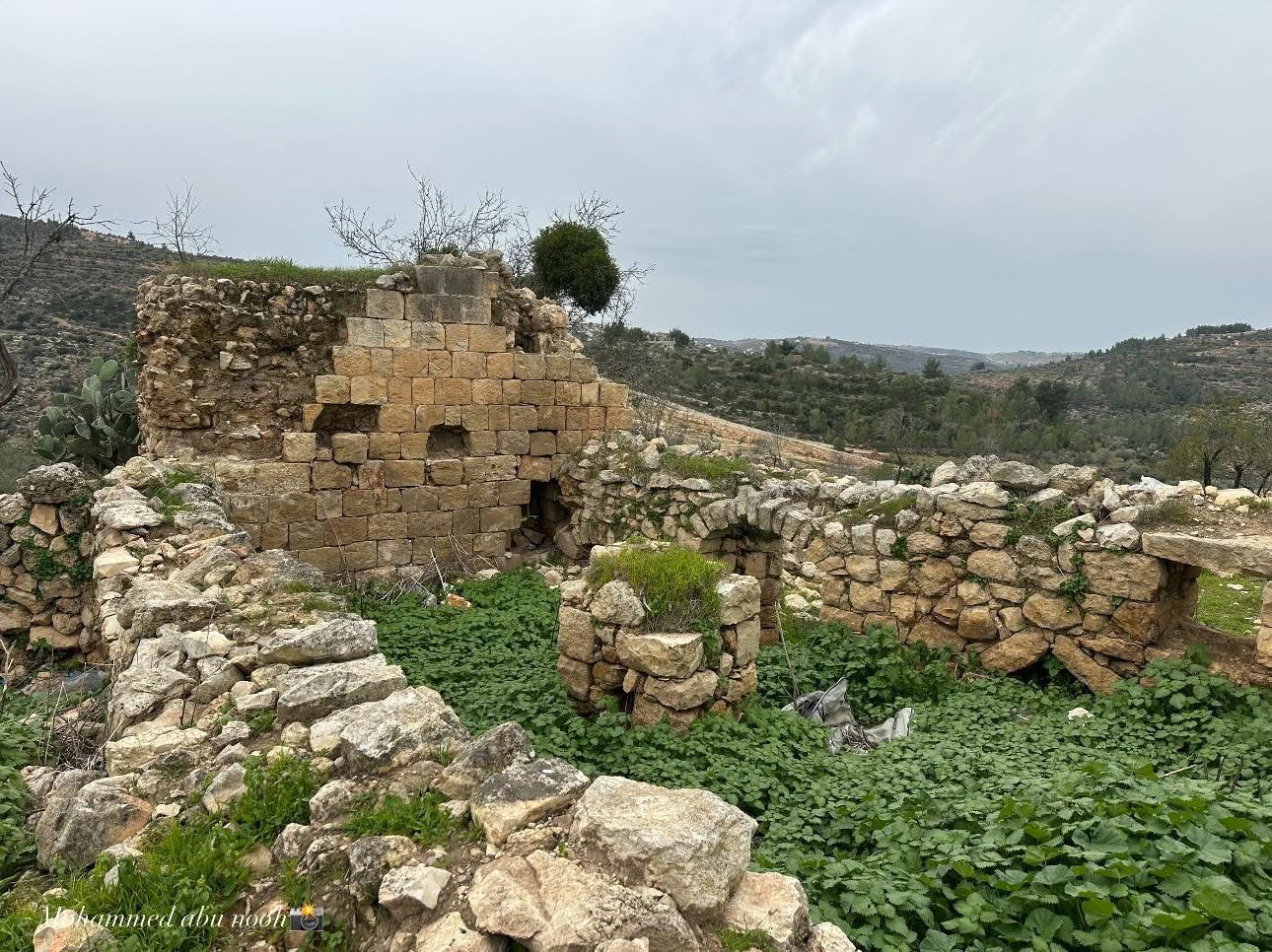  | موسوعة القرى الفلسطينية