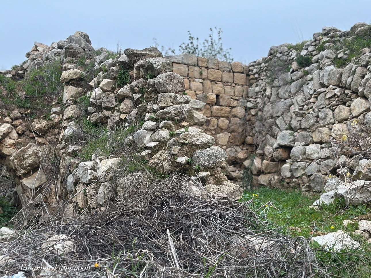 قرية خربة قيس قضاء سلفيت، بعدسة محمد أبو نوح .