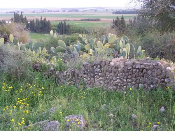  | موسوعة القرى الفلسطينية