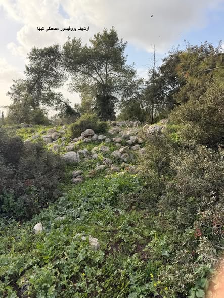 خربة عباس  | موسوعة القرى الفلسطينية