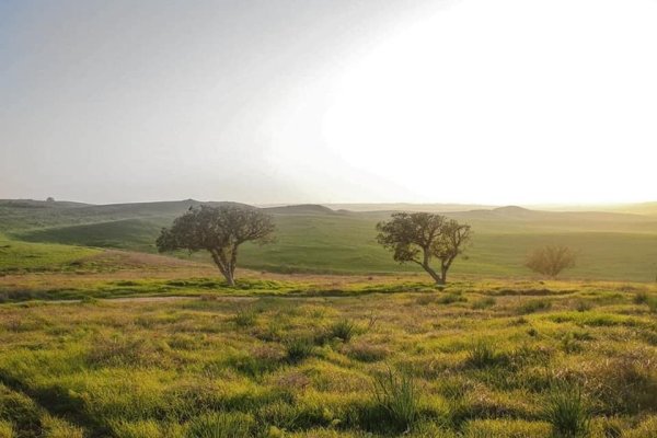 قرية الجمامة - بئر السبع قرية الجمامة - بئر السبع