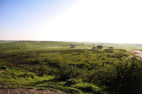 قرية الجمامة - بئر السبع قرية الجمامة - بئر السبع