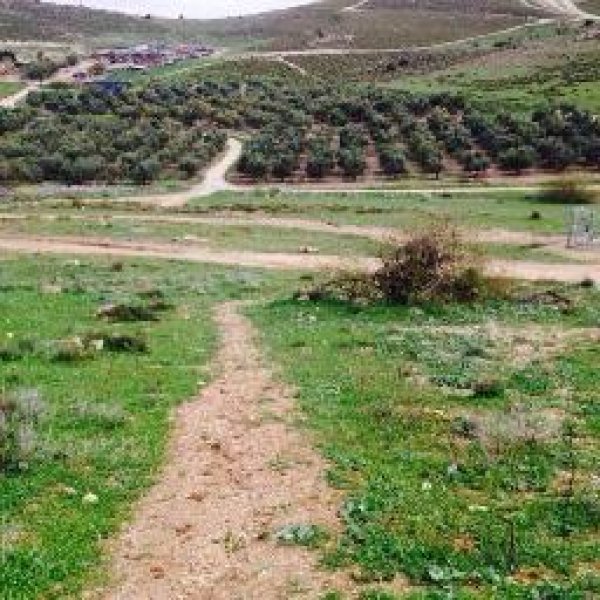 قرية الجمامة - بئر السبع قرية الجمامة - بئر السبع