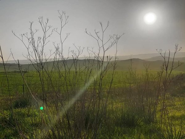 قرية الجمامة - بئر السبع قرية الجمامة - بئر السبع