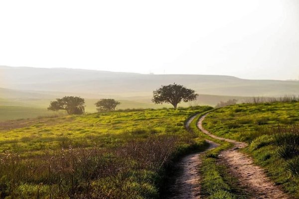 قرية الجمامة - بئر السبع قرية الجمامة - بئر السبع