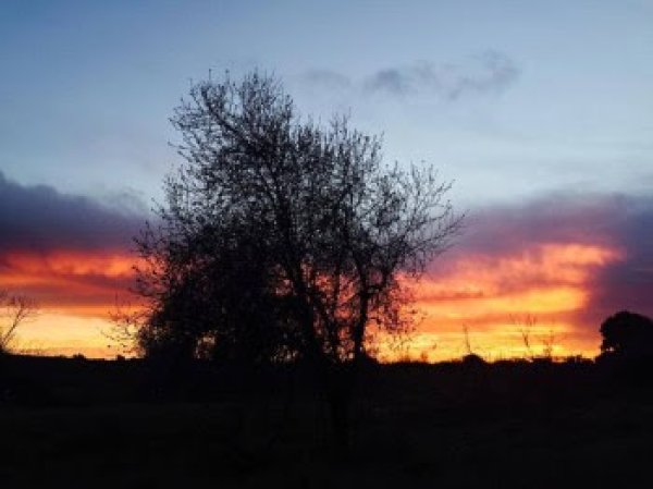 قرية الجمامة - بئر السبع