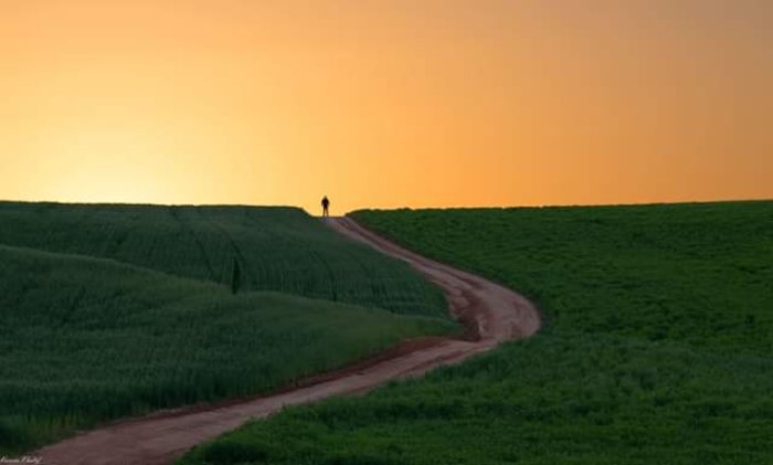 الجَمّامَة  | موسوعة القرى الفلسطينية