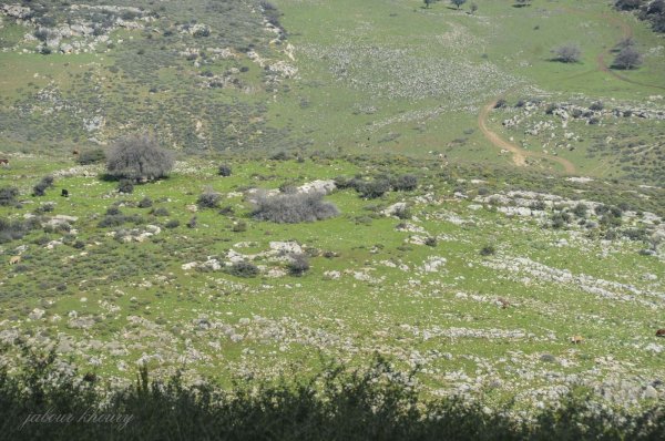 موقع قرية ماروس المهجرة