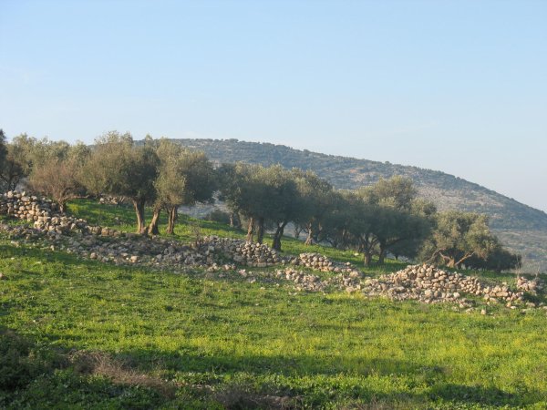 أنقاض منازل قرية ماروس المدمرة