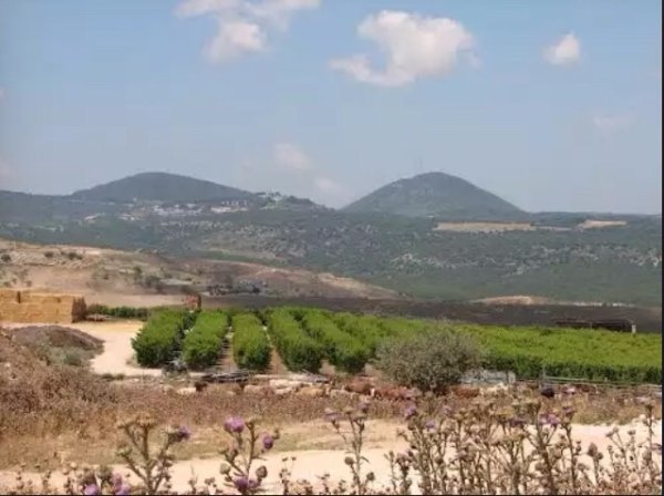  | موسوعة القرى الفلسطينية