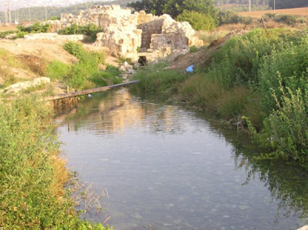  | موسوعة القرى الفلسطينية