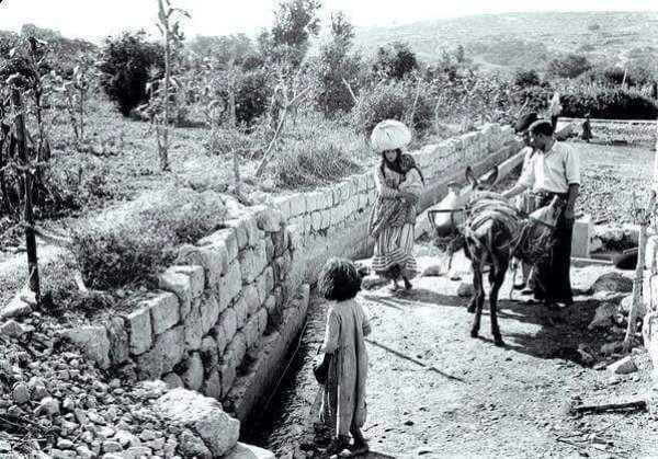 قرية صفورية: عام 1945