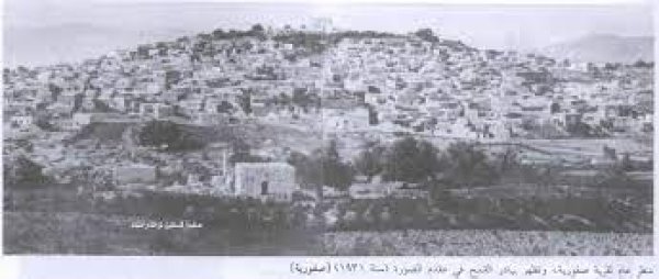 صورة نادره لقرية صفوريه قبل النكبه