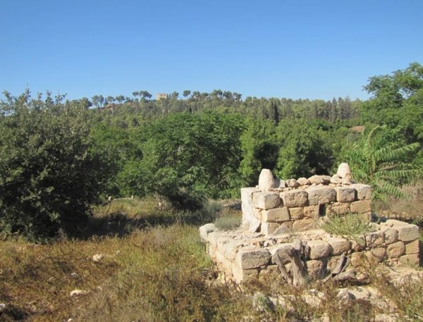  | موسوعة القرى الفلسطينية