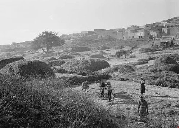  | موسوعة القرى الفلسطينية